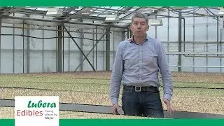 Wir produzieren und vertreiben biologisch zertifizierte Jungpflanzen