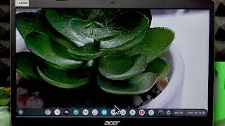 ACER Chromebook 315 &mdash; как сделать снимок экрана