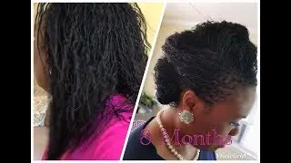8 Months Sisterlocks