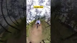 #jungle #goa #beachlife #insta360 #insta360x3 #tree #nature #trekkingwithsuraj #cycling