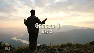 Day 3 — The Flood and the Promise — Bible in a Year ✝️ | Peaceful Contemporary Worship Scripture