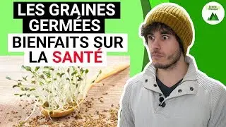 GRAINES GERM&Eacute;ES : Meilleur Super Aliment PAS CHER