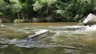 River landscape relaxation calm relaxing music