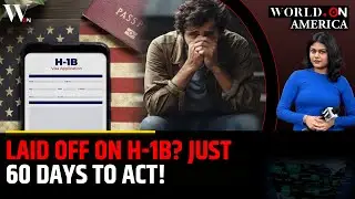 H-1B Layoffs: The Survival Guide Every Worker Must Know