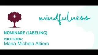 PRATICA DEL NOMINARE (LABELING). Chiamare le emozioni per nome
