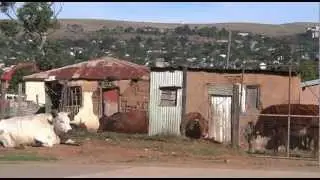 Mbuleli Mpokela Township Tours