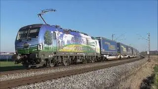 Makroeskalation in Osterhofen, bunter Güterverkehr mit RTB Cargo, GYSEV, FoxRail, LTE Eurodual LZ