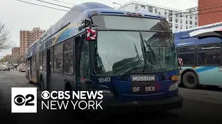 Eight hurt in MTA bus crash in the Bronx