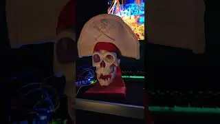 3D printed Disneyland's Pirates of the Caribbean Captain X animatronic
