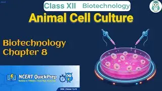 Animal Cell Culture | Class 12 Biotechnology Chapter 8 | CBSE NCERT | Quick Revision in 7 Mins