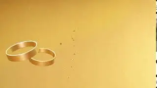 Wedding Rings Motion Background - Copyright Free Stock Footage Clip
