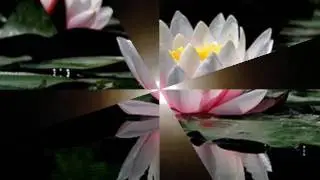 TOIMO-Ha-mai-Nguyen_wmv.wmv