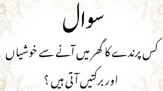Amazing General Knowledge Question in Urdu|Paheliyan in Hindi|by Islamic Jawabaat| #116