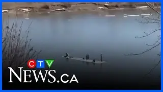 Caught on camera: 5 people float down Edmonton river on ice floe