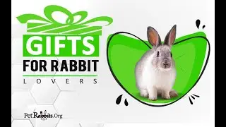 29 Gifts For Rabbit Lovers For Any Occasion