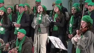 Cantar os Reis | Troupes adultas | Dia 2 de 3 | 05 de Janeiro 2026