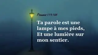 Temple Adventiste North Miami 1/11/26 | R&eacute;union de pri&egrave;re :dimanche soir: 6:00-8:00 PM