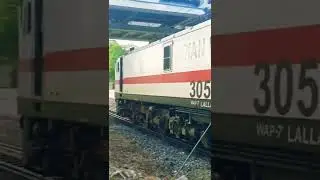 ( entry ) freshly  Pohed LGD WAP7 30563 non hog #shorts 🤩🇮🇳🤍❤️🔥🔥