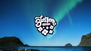 TearlessZer0 - Midnight Drift Into Euphoria [ambient house]