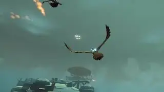Tomas Sala - The Falconeer