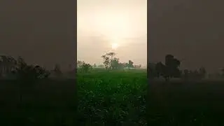 #foryou #punjab #barish #zhd