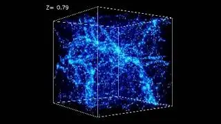 Perspective on the Local Universe