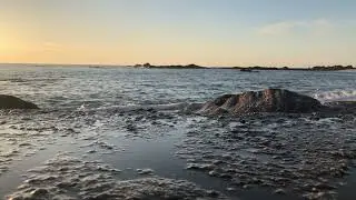 Relaxation pour se recentrer (technique 0312)