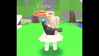 Reaching 1000 friendship level turns pet in mega?!