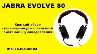 IPTELS. Видеообзор 03. Гарнитура Jabra Evolve 80 Stereo for Microsofl Lync