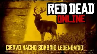 Ciervo macho sombr&iacute;o legendario | Red Dead Online