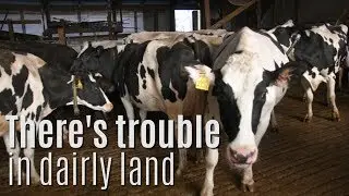 Michigan dairy farms are in trouble