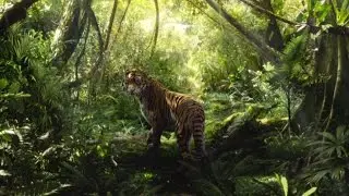 Help WWF-Malaysia Save Our Tigers