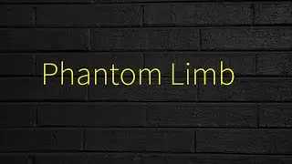 Yellow Mellow - Phantom Limb [Lyrics]