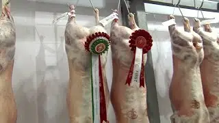 Parau Carcas Oen | Lamb Carcass Pairs