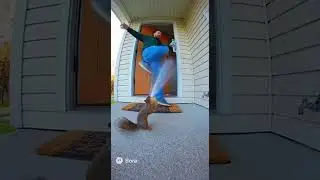Sora Ai Doorbell Video