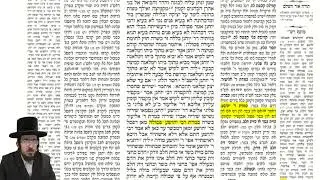 מסכת מנחות דף ט בעברית