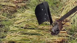 How to Make Rice and Wheat Cutting Machine