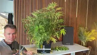 Lollipopping - Step by step in 4 Minuten erklärt