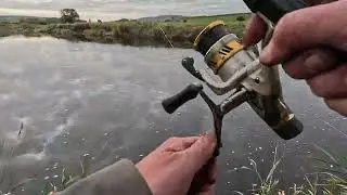 Salmon fishing September 2025 7lber river cairn worm 🪱 