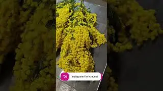 ⓿❾❸.❷❽❼.❷❽❷❽