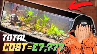 Шокирующая цена моего комплекта Fluval Roma 240! Стоило ли оно того?