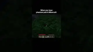 sorry I let you die :\ #streamclips #minecraft #twitch #vtuberen #phantompain