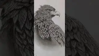 realistic eagle🦅 drawing #shorts #viral #viralshorts #shorts #like #subscribe #share #comment