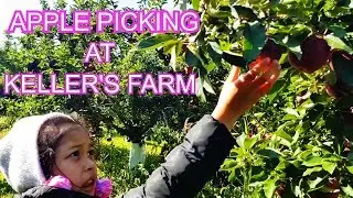 Apple Picking at Keller's Farm..