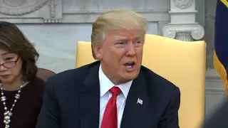 Raw Video: Trump Speaks After Declassifying Controversial GOP Memo On FBI, Russia