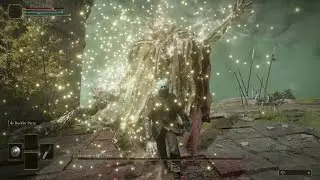 Elden Ring - Margit, The Fell Omen - Great Enemy Felled with level 10 bandit
