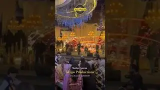 How to book Pakistani singers for weddings #shorts #weddingsingers