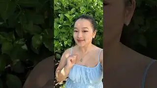 Love catchy Hmong songs! #hmong #hmongsong #hmongmusic #nkaujhmoob #hmoob