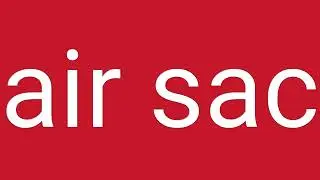 Air Sac Definition & Meaning