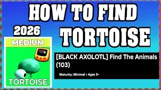 How To Find TORTOISE in FIND THE ANIMALS ROBLOX [UPDATE] [walkthrough] [2026]